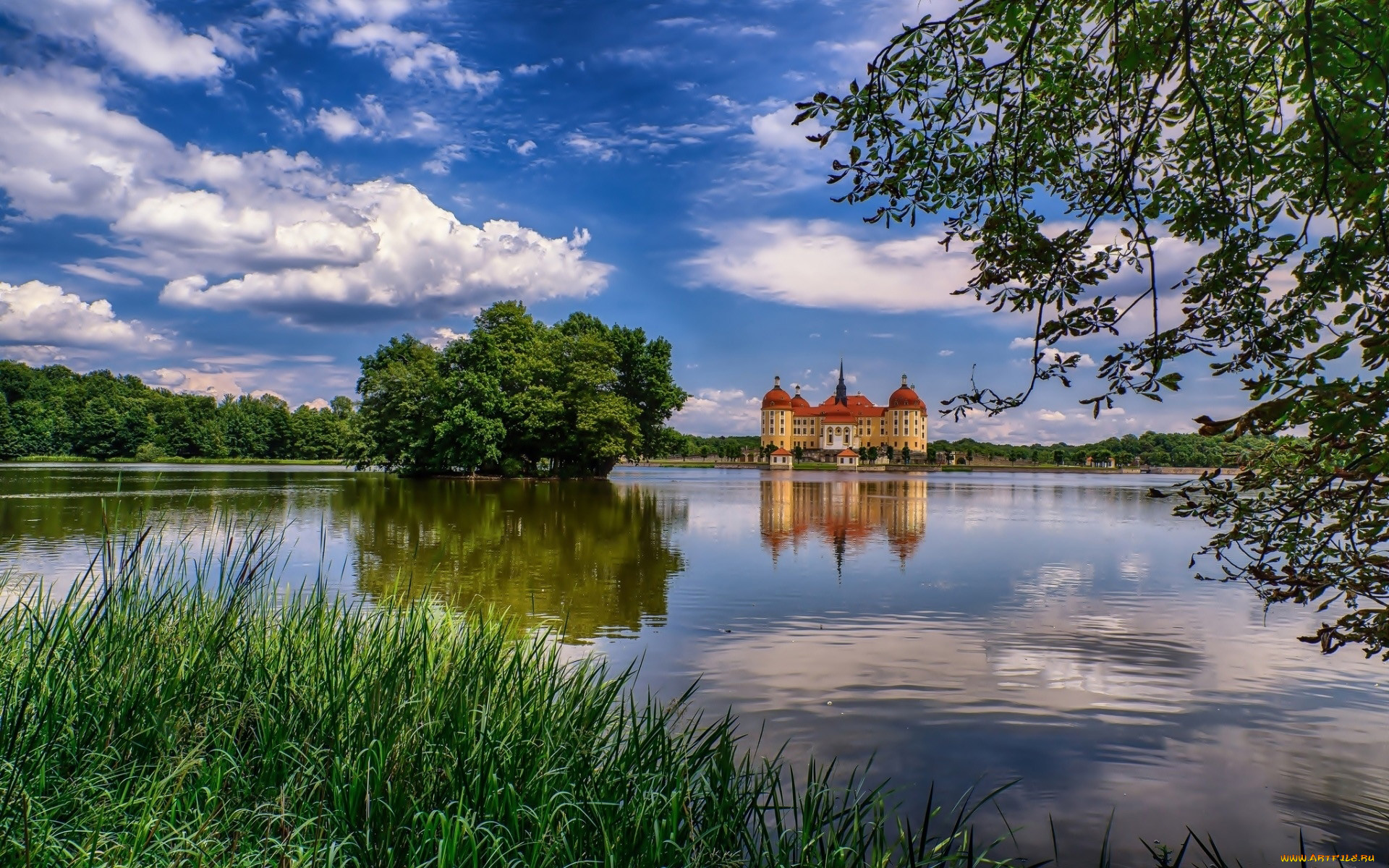 moritzburg castle, germany, ,   , , moritzburg, castle